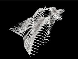 A history of these and other notions in the biology of cognition. Parametricism And The Autopoiesis Of Architecture