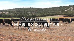 We did not find results for: Finca Santa Rosalia Finca Santa Rosalia