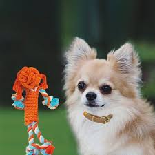 Adini Unutan Kizlar Adini Unutan Kiz Ip Oyuncak 30 Cm Ve Onedrope Tasma Ipleri Girls With No Name Girl With No Name Rope T Dog Toys Kitty Dogs