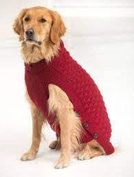 Since you'll want a sweater that fits your dog without being too loose or tight, measure the length and girth of your dog. Free Knitting Pattern For Large Dog Sweater Buscar Con Google Crochet Dog Sweater Free Pattern Dog Sweater Pattern Dog Sweater Crochet Pattern
