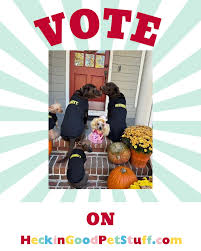 Kodi Mann (@heckingoodpetstuff) • Instagram photos and videos