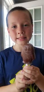 Aldi ice pop mold for penguin lovers