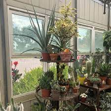 Maybe you would like to learn more about one of these? Young S Greenhouse Flower Shop Home Facebook