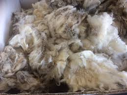 Compass interactive sdn bhd is hiring in malaysia! Compass Wool Processors Sdn Bhd Posts Facebook