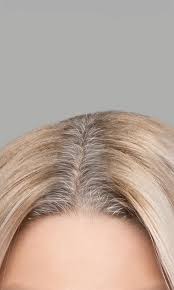 Take Our Hair Color Quiz To Find Your Best Hair Color Yet In 2020 Hair Color Quiz Perfect Hair Color Cool Hair Color