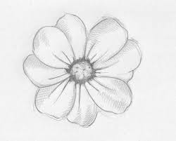 It isn't really, as with any other drawing you just have to break the whole process down to a series of relatively simple tasks. Pin By Livie Marie On Tattoos Realistic Flower Drawing Flower Sketches Cute Flower Drawing
