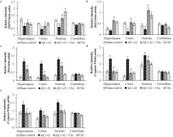 Denzel washington's life advice will leave you speechless (must watch). Neuroprotective Effects Of Carbenoxolone Against Amyloid Beta 1 42 Oligomer Induced Neuroinflammation And Cognitive Decline In Rats Sciencedirect