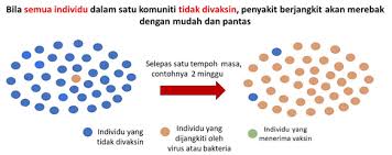 Taklimat pengurusan penyakit berjangkit (slot 1 & 2). Imuniti Kelompok Atau Imuniti Komuniti Herd Immunity Root Of Science