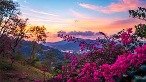 Please contact us if you want to publish a spring wallpaper on our site. Hd Spring Wallpapers Top Free Hd Spring Backgrounds Wallpaperaccess