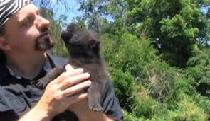 White Wolf : Cutest Thing Ever: Baby Wolves Howling For The First Time