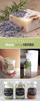 Clever Projects Using Herbs The Garden Glove Herbalism Herbs Growing Herbs