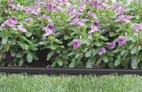 Check spelling or type a new query. Give Your Garden An Edge Suncast Corporation