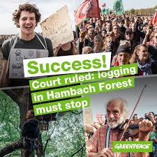 Un militant de greenpeace a failli s'écraser sur la pelouse de l'allianz arena, quelques minutes avant le début du match entre l'allemagne et la france. Greenpeace France On Twitter Belle Victoire En Allemagne La Justice Allemande Met Un Terme Aux Coupes Dans La Foret De Hambach Ensemble Disons Stop Au Charbon Et Continuons De La