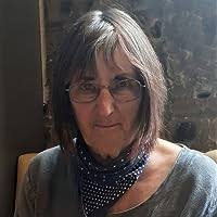 Nina Todd Has Gone by Lesley Glaister