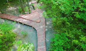 McVey Memorial Forest Boardwalk