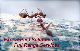 We focus on 2 primary factors that consumers consider when selected a professional pest control provider: Pest Control Service Exterminator Springfield Missouri And Ozarks Area