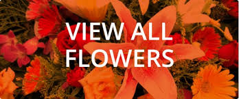 Check spelling or type a new query. Wholesale Flowers Florist Supplies Uk