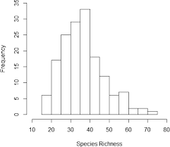 Image result for Haplocoelum inoploeum