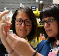 MaineHealth Knowledge Connection Partnership