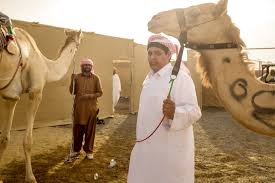 Other places near alwathba camel race track. Christophe Viseux Camel Race Burn Magazine