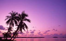 We offer an extraordinary number of hd images that will instantly freshen up your smartphone or computer. 32 Pink Sunset Wallpaper Hd On Wallpapersafari