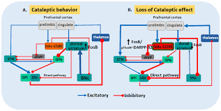 Image result for Extrapyramidal Side Effect