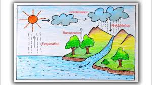How To Draw Water Cycle Step By Step Water Cycle Drawing For Students