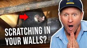 Read ©terms of use & copyright© before downloading the sound: Scratching In Walls And Ceiling At Night We Got You Youtube