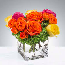 If you need other schedule book from midori company, please contact us. Flowers Delivery Mount Laurel Flowers By Elizabeth