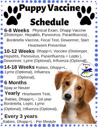 Pin By Ashley Richards On Good To Know In 2020 Small Puppies Puppy Checklist Animal Hospital