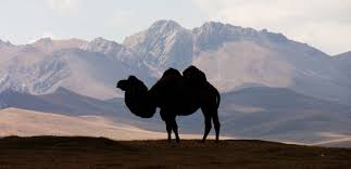 Won't happen never reaching the end nights that won't happen never even begin never even begin this world is like a roadside inn and we're the guests inside and death is a black camel that kneels down so we can ride when the dying's finally. Kirghizistan Programme Des Routes De La Soie