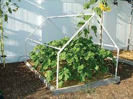 How to build a pvc greenhouse (high tunnel). 95 Diy Greenhouse Plans Learn How To Build A Greenhouse Epic Gardening