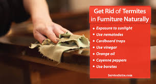 Termites can ruin your home and make life way more difficult. How To Get Rid Of Termites In Furniture Naturally On Your Own