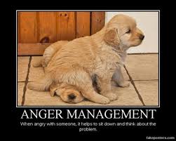 84 entries are tagged with funny thoughts to ponder. Funny Quotes To Ponder Quotesgram