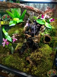 Terrarium For Tropical Plants Like Orchids Lizards And Frogs Diy This With A Layer Of Hydroballs Topped With Rep Tropical Garden Design Orchids Orchid Pot