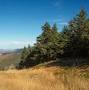 Profile Picture of Hiker falls to his death from New Hampshire mountain, authorities say (@nbcnews.com) on Google