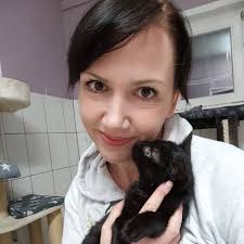 Nordsachsen: Warum Tierschutzvereine immer zwei Katzen vermitteln