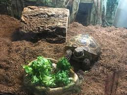 Animal house pet center local pet food and supply store is a healthy pet shop with everything you need for your dogs & cats. Animal House Pet Sitting Llc Halifax Ma Bark Reviews