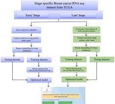 Who should read this book? Classification Models For Invasive Ductal Carcinoma Progression Based On Gene Expression Data Trained Supervised Machine Learning Scientific Reports