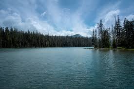 The best place to stay is in eugene, a delightfully small city. 7 Great Campgrounds In Eugene Oregon Hiking Ocean Access And River Views Await