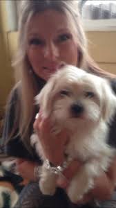 Kelly's Wags n' Whiskers Pet Sitting