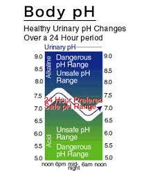 Ph Test 2 9 Strips