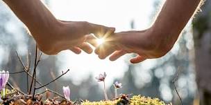 Healing with Plants Workshop, Nov. 2026