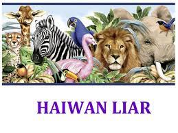 Menggambar dan mewarnai elang lukisan hewan hewan liar anak cerdas bunyi haiwan untuk kanak kanak gambar haiwan liar youtube gambar mewarnai binatang liar. Binatang Liar