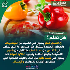 الفلفل الحلو Stuffed Peppers Food Olla