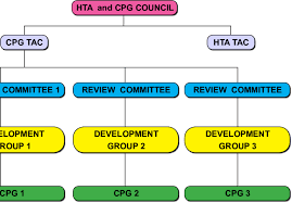 Organisational Structure Of Cpg Programme In Moh Download