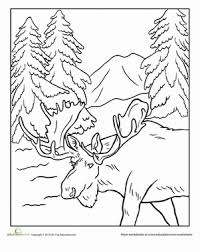 Find more moose coloring page. Alaska Moose Worksheet Education Com