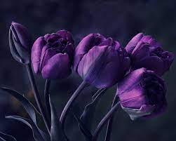Flowers in shades of purple from light lilac to mauve and deep violet are beautiful to look at. Free Shipping Deep Purple Flower Canvas Printing Oil Painting Wallpaper Art Decoration Art Decoration Artwork Xjdp 104 Oil Painting Canvas Printsflower Canvas Aliexpress