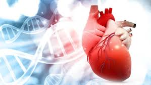 Cómo mantener un corazón sano? | Unionradio.net