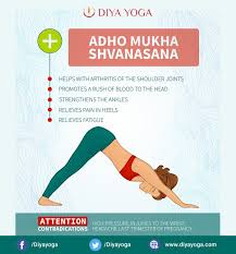 Benefits Of Adho Mukha Svanasana Yoga Or Downward Facing Dog Pose Mondaymotivation Adhomukhasvanasana Yoga Downwardfacingdog Pose Asana Health Diyayoga